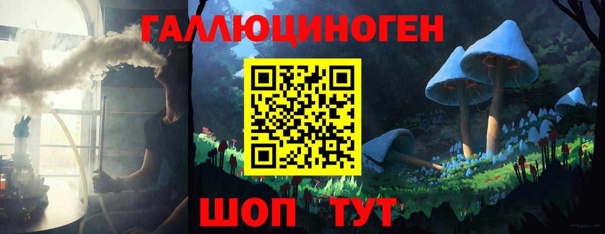 Псилоцибиновые грибы Psilocybe Ижевск